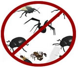 Dedetizadoras em Umuarama