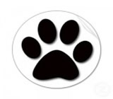 Pet Shops em Umuarama